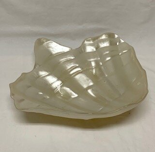 Seaside Collection: Clam Shell, White, Large