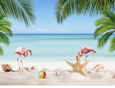 Beach Flamingo Backdrop Cover, 10' x 6.5'