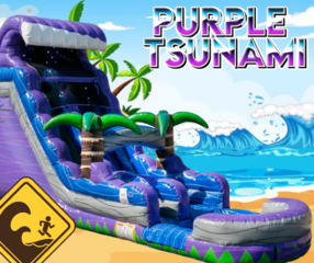 19 FT PURPLE TSUNAMI SLIDE