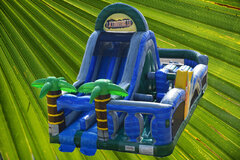 50' Extreme Tropical Dual Lane  Obstacle Course With Dry Slide