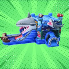 Shark Combo Water Slide