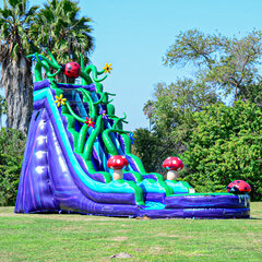 ENCHANTED FOREST 20 FT SLIDE WITH POOL