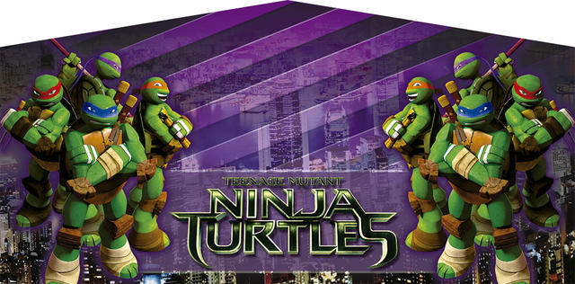 Ninja Turtle Dark