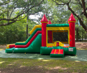 Charleston T-Rex Combo with Dry Slide - Jason's Jump Castles