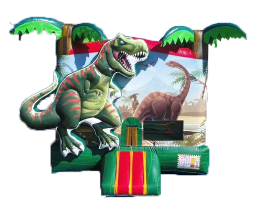Dinosaur 3D Jumper 13'x15' J301