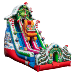 24' Grinch Dual Dry Slide 13'x35' H928