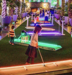 9 Hole LED Mini Golf