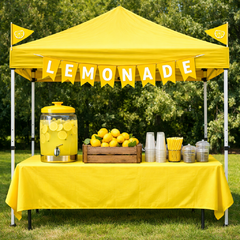 Lemonade Stand (50 servings)