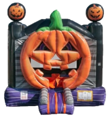 Pumpkin 3D Jumper 15'x17' J321