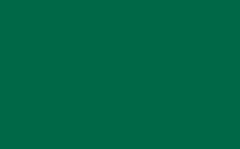 Linen: Dark Green Overlay 60"x60"