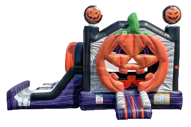 Pumpkin 3D Combo 15'x25' SC724 