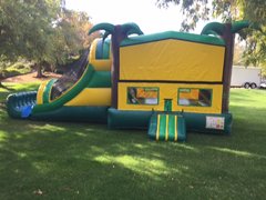 Bounce House Combo (Dry Only) 4 In 1 Tropical Combo