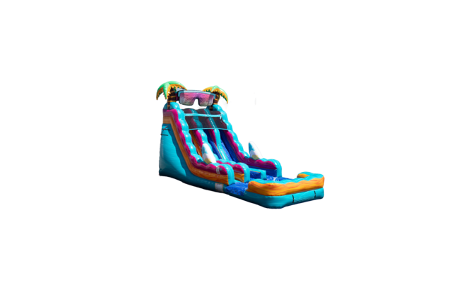 20' Dual Lane Beach Slide