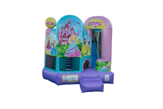 Disney Princess Backyard Combo
