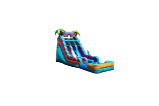20' Dual Lane Beach Slide