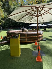 Mechanical Bull Rental