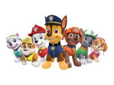 Paw Patrol Bouncy Castle Rentals