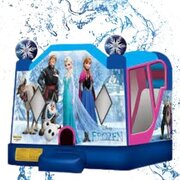 Disney Frozen Bouncy Castle- Waterslide