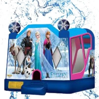 Water-Bouncy-Castle-Frozen
