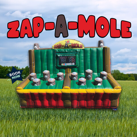 Zap-A-Mole-interactive-Game