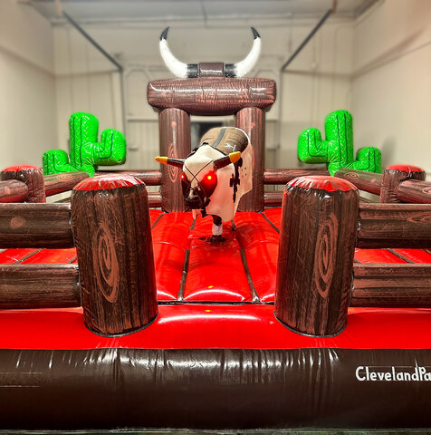 Mechanical Bull