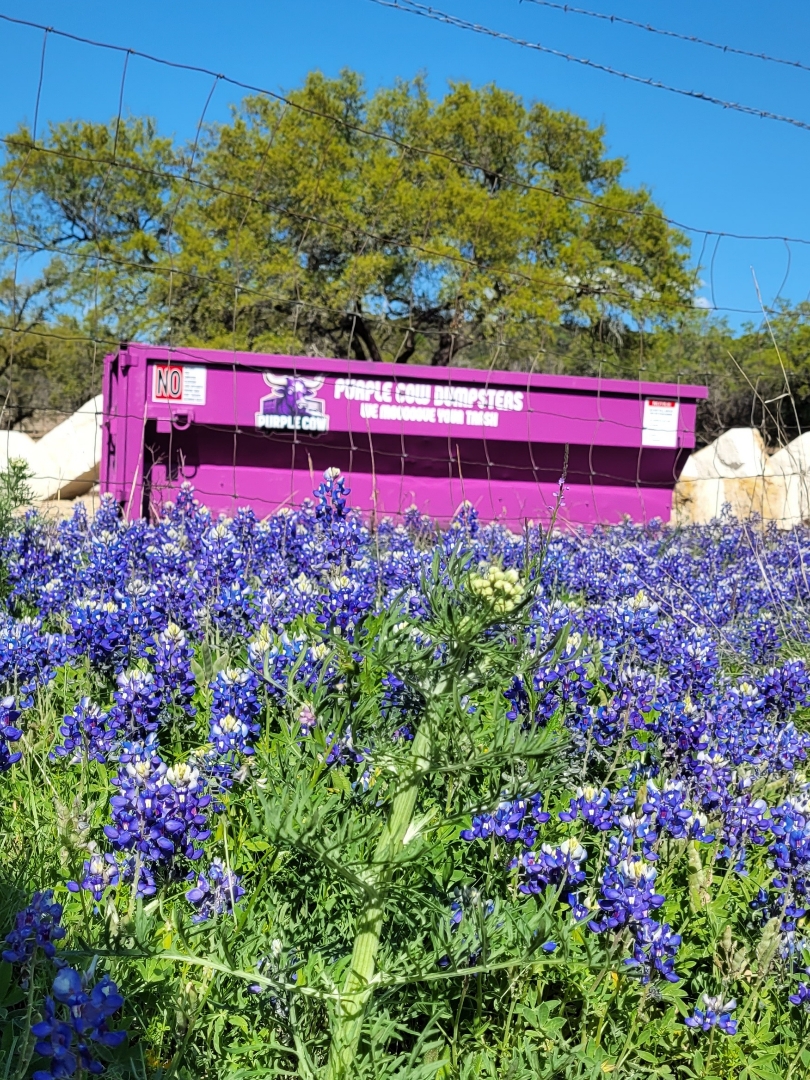 Canyon Lake Small Dumpster Rentals