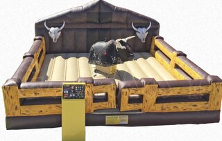 Mechanical Bull