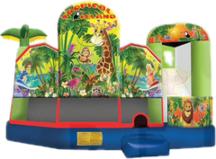 Tropical Island Fun House