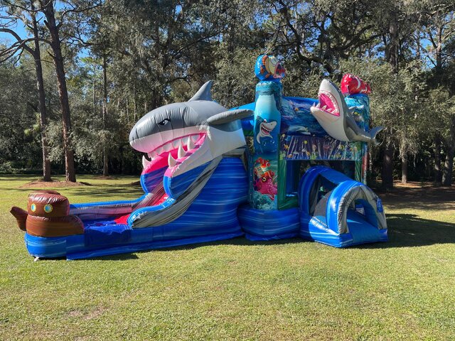 Bounce House with Shark theme in Jacksonville Florida