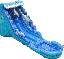20ft Dual Dolphin Water Slide