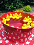 Duck Pond
