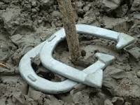 Horse Shoes