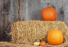 Fall Decor 