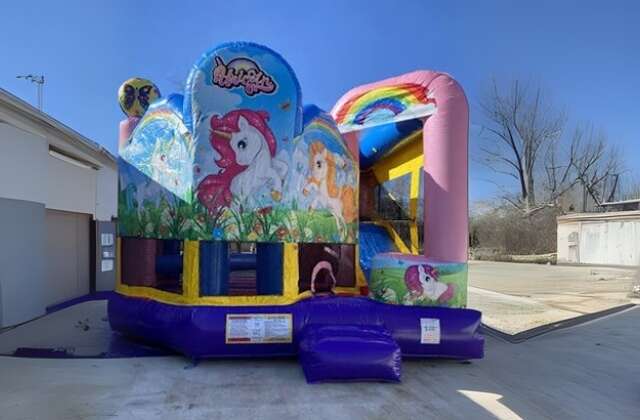 Inflatable Party Rentals