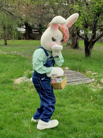 Easter Bunny