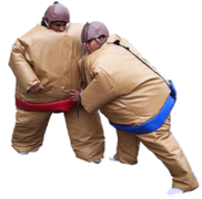 Sumo Wrestling