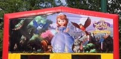 Sofia the First Banner