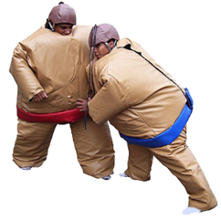 Sumo Wrestling