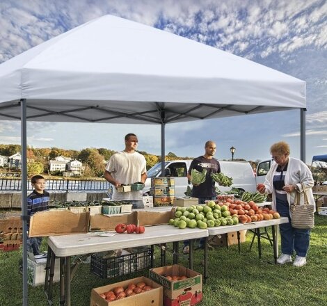 12ft x 12ft Party Tent