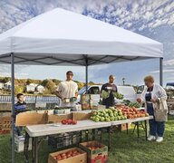 12'x 12' Party Tent