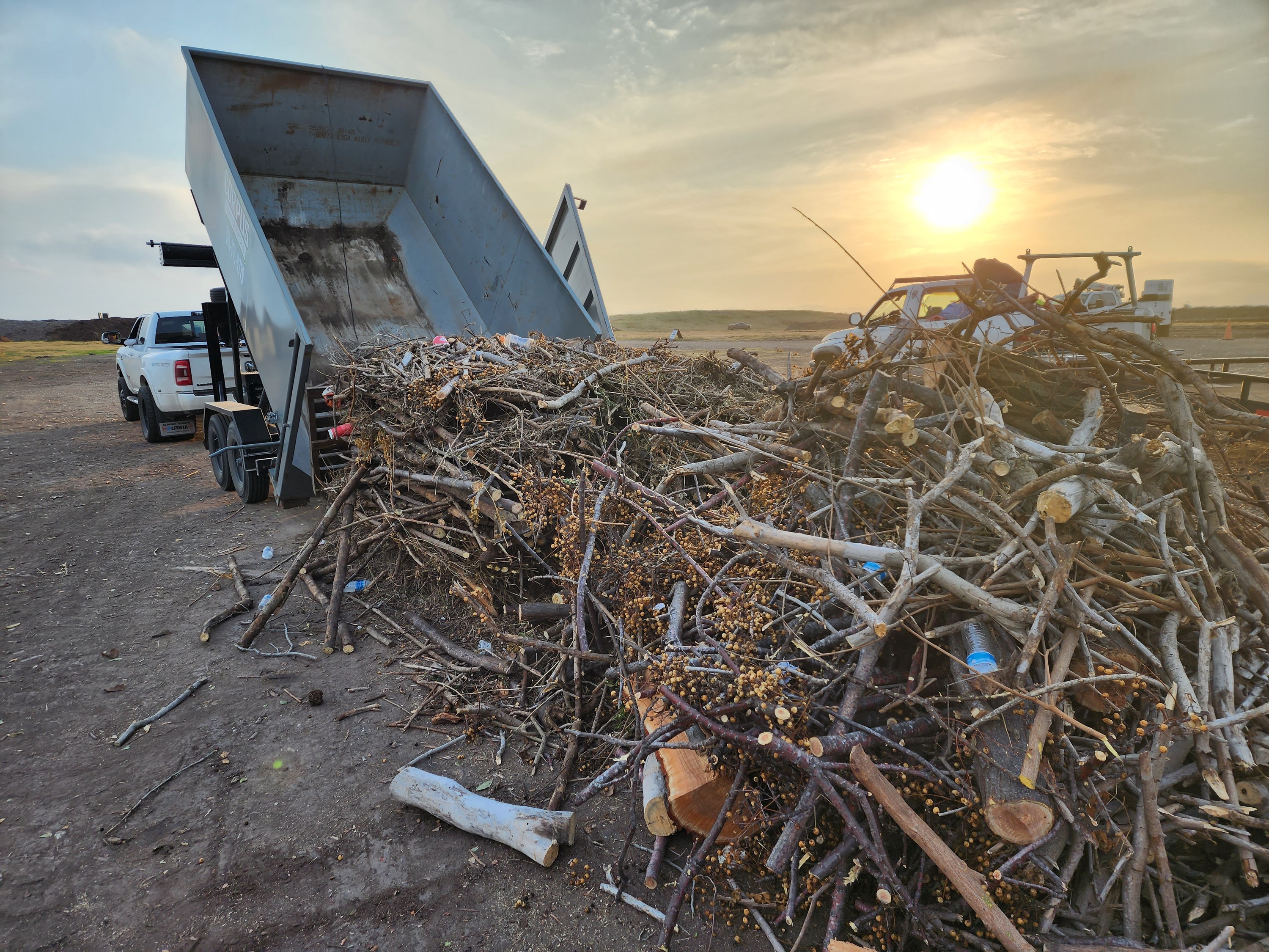 Dumpster Rental Corpus Dumpsters Robstown TX