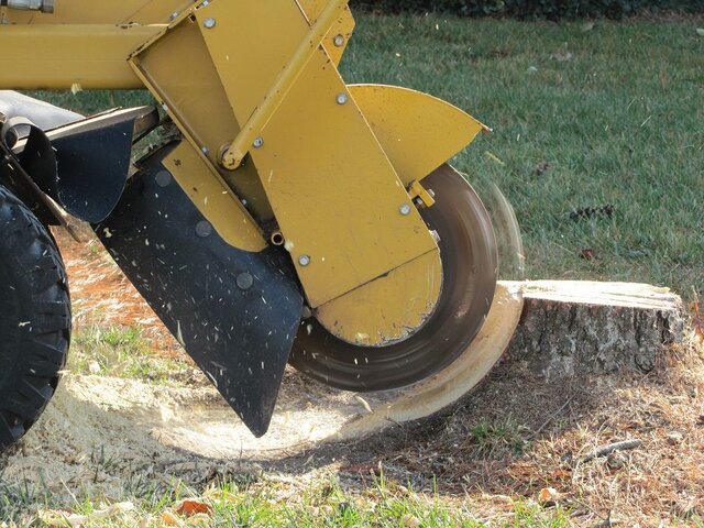 Stump Grinding