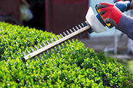 Hedge Trimming