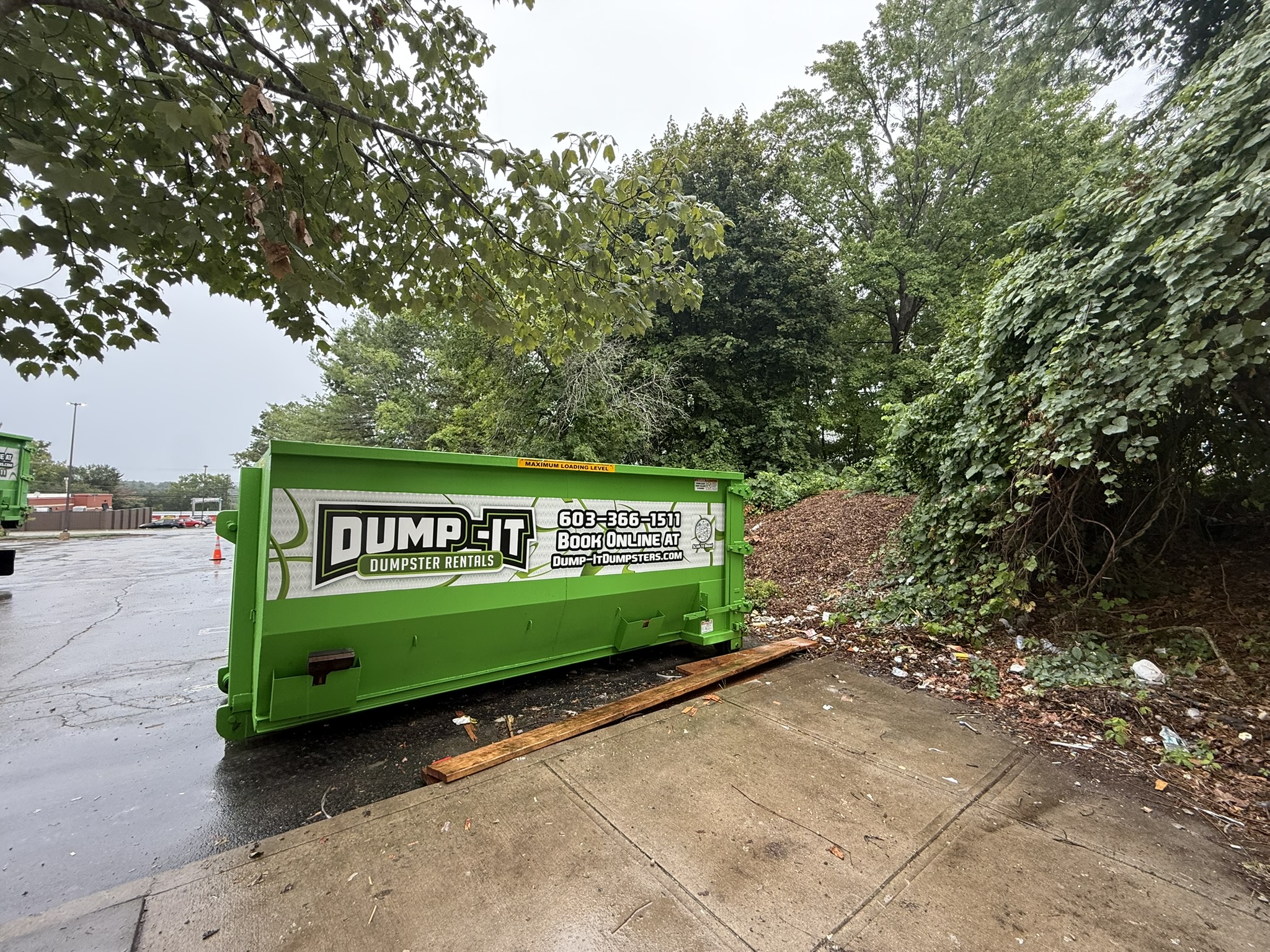 Dumpster from Dump-It Dumpster Rentals positioned on a sidewalk