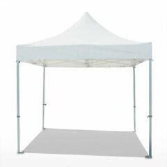 10x10 Pop Up Tent - White Top