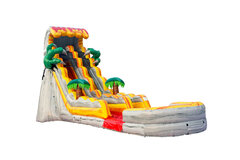 Wet 20 Foot Jurassic Water Slide with Pool