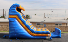 Dry 20 ft Fire and Ice Dual Lane Slide
