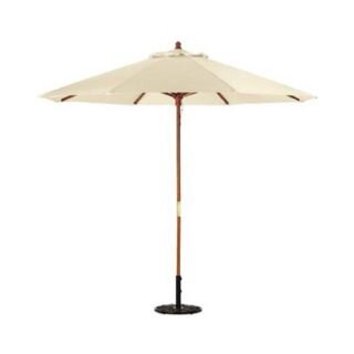 Umbrellas with Stands 