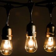 Cafe String Lighting - Black (Per Ft)