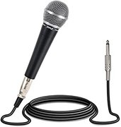 Microphone (Wired)